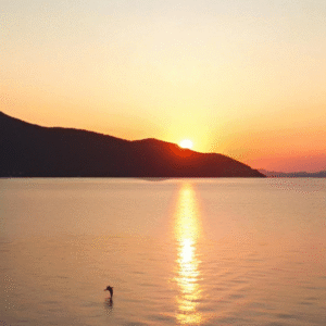 Profile photo of Bogdan Cârstea