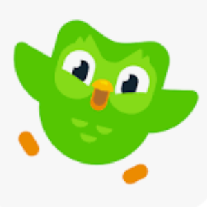 Group logo of Duolingo